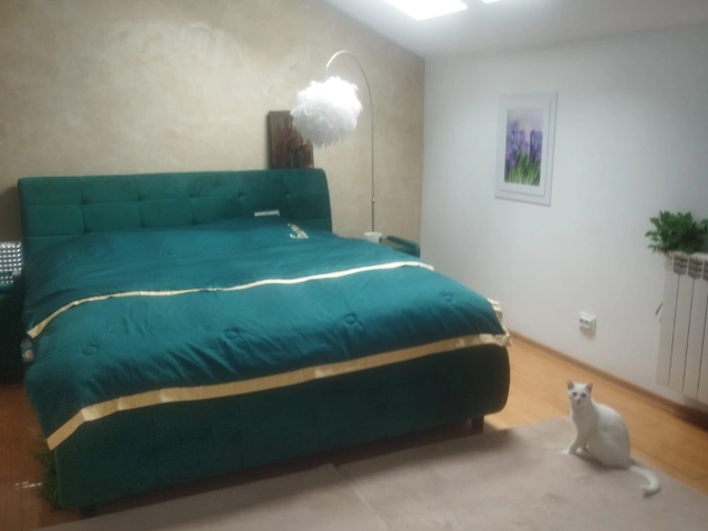 Apartament 9 camere - Bucium
