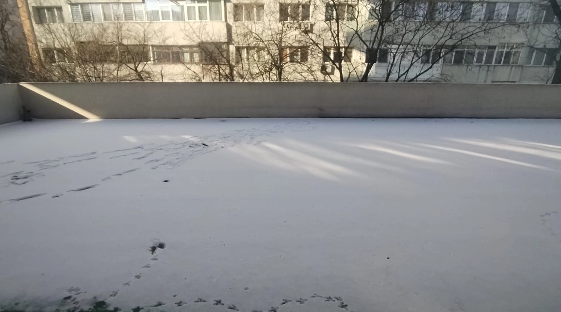 Oferta Spatiu comercial de inchiriat Podu Ros Rond 58mp  imagine 8