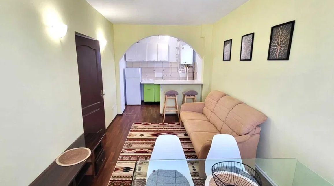 Oferta Apartament de inchiriat, 2 camere, decomandat, 40 mp, Bucium,  OMV imagine 6