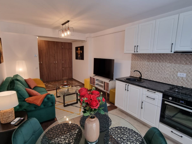 2 camere,  open-space,  50 mp, de inchiriat apartament nou in zona Copou,  (Al Sadoveanu) 161958