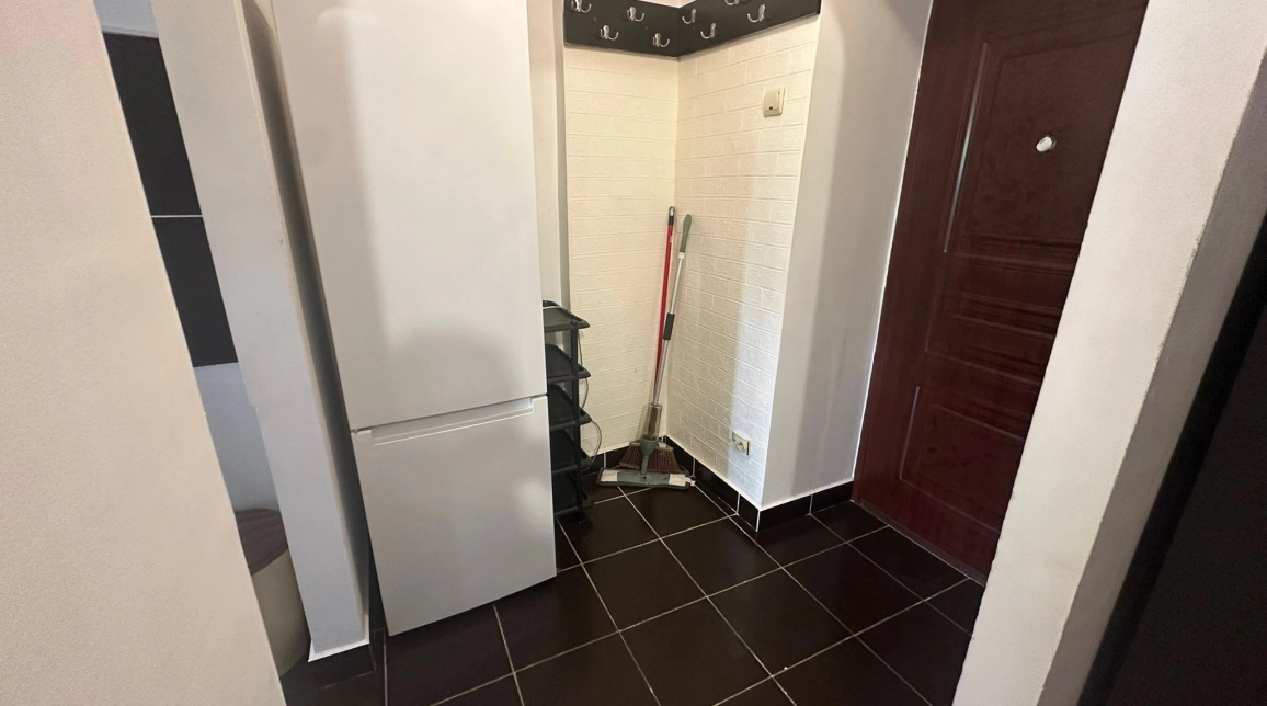 Oferta De inchiriat apartament, 1 camera, open-space, 40 mp, Nicolina,  Biserica Catolica imagine 7