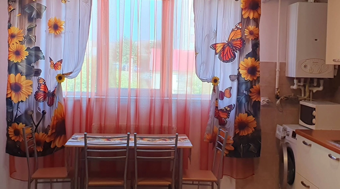 Oferta Calea Romanului apartament 47 mp, 2 camere, duplex, de vanzare,  Stamatin / White Lady imagine 3