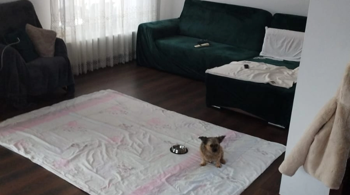 Oferta Casa, 5 camere , 170 mp, Valea Adanca, de vanzare,  Expomobila imagine 7