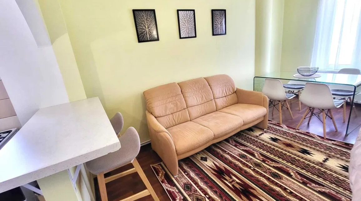 Oferta Apartament de inchiriat, 2 camere, decomandat, 40 mp, Bucium,  OMV imagine 7