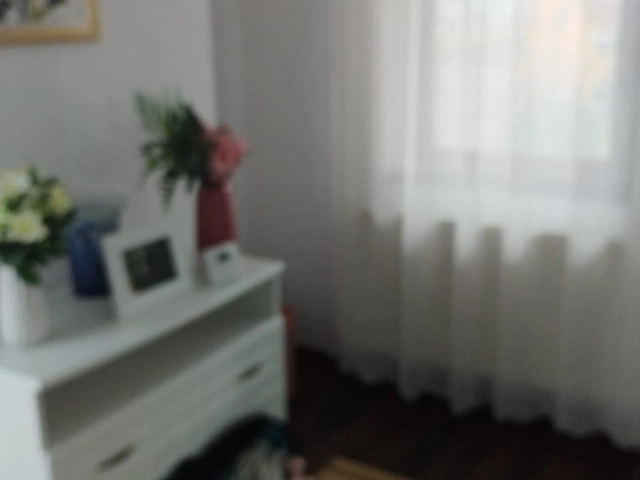 Apartament 5 camere - Valea Adanca