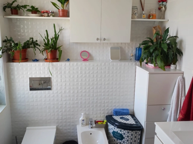 Apartament 4 camere - Nicolina