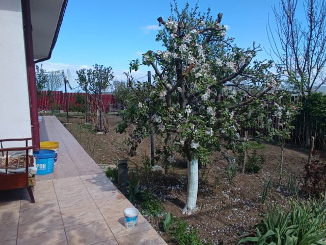 Casa de vanzare, 4 camere,  107mp, Miroslava,  (Centura Iasi) 162250