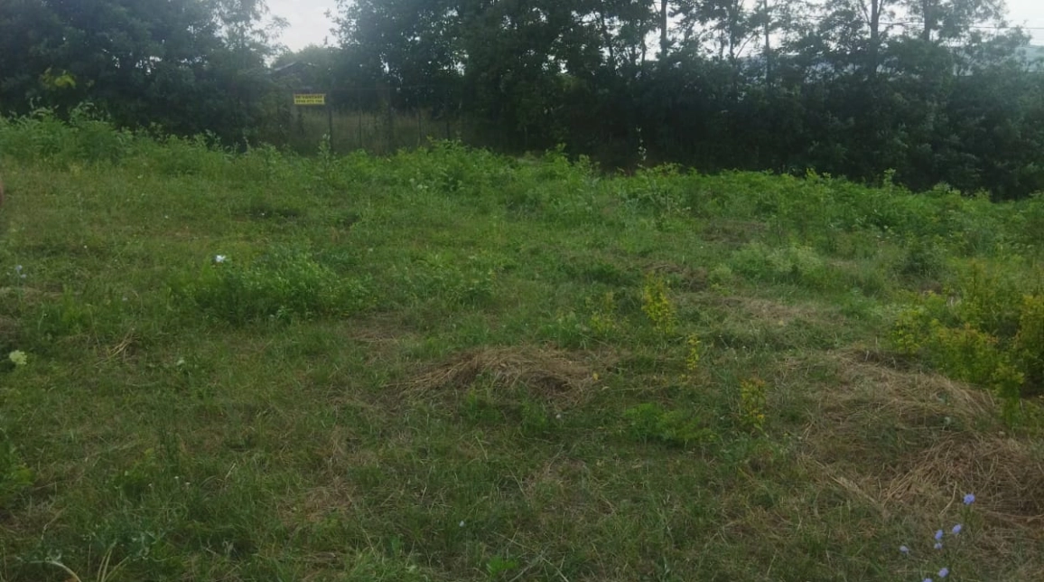 Oferta Teren de vanzare Barnova dupa Arca lui Noe 562 mp  imagine 3