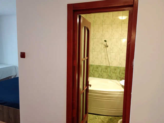 Apartament, 1 camera  garsoniera,  58 mp, Maratei, de inchiriat,  (Privighetorii) 162161