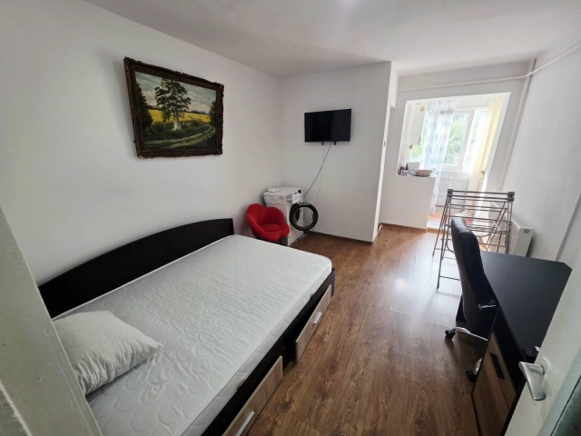 Apartament 1 camere - Alexandru cel Bun