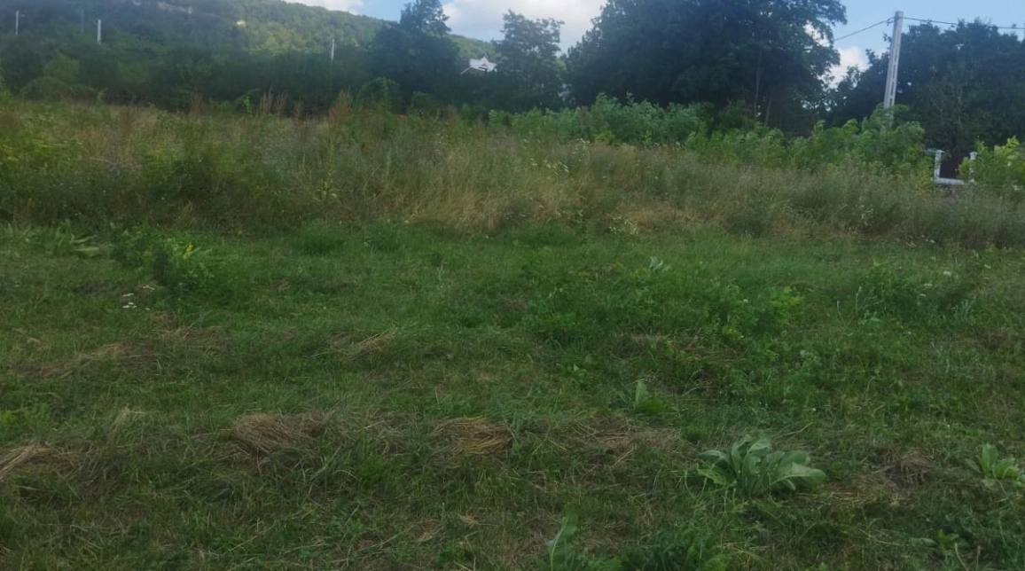 Oferta Teren de vanzare Barnova dupa Arca lui Noe 562 mp  imagine 4