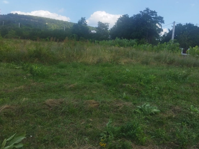 Apartament 0 camere - Barnova