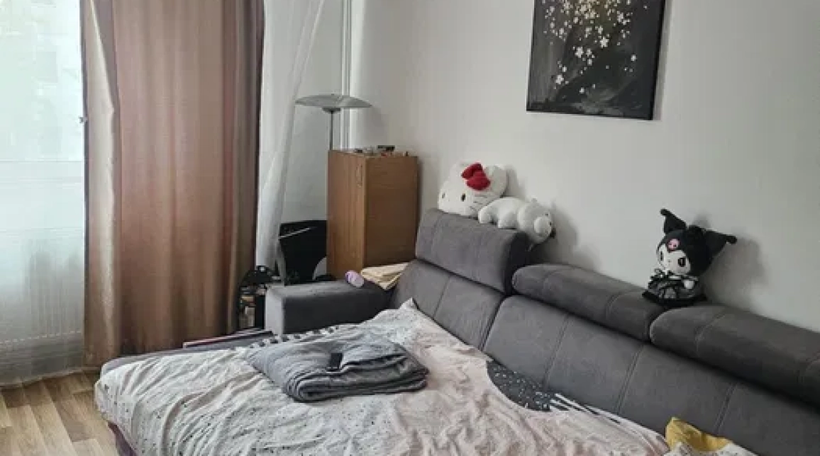 De inchiriat apartament, 1 camera, decomandat, 30 mp, Tudor Vladimirescu, Gradinari, Cod 162947 — fotografia 1