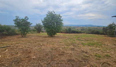 Teren Image