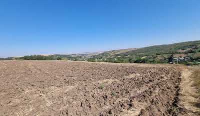 Teren Image